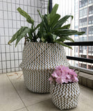 Foldable Handmade Seagrass Flower Pot